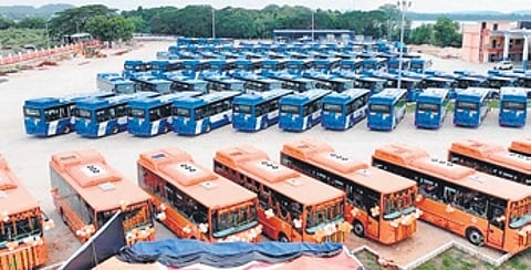 The e-bus fleet