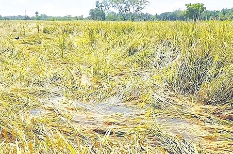 Maheswar Reddy was trying to divert public attention from key issues to cover up its failures.