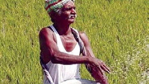 The stock currently available with the state government is just 30,000 tonnes.