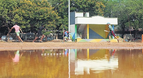 Children, undeterred by the stagnant water, play cricket on an open ground in the city on Sunday.