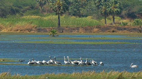 Representative Image