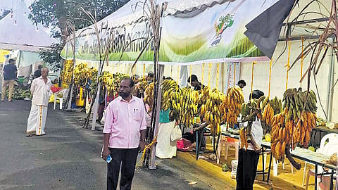 The ‘nattu chantha’ at the Kalamassery Karshikotsavam.