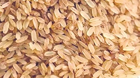 The initiative is backed by the Padasekhara Samithi (paddy cultivators’ collective) and the Chittur Agriculture Improvement Society, which will support the rice brand at every stage