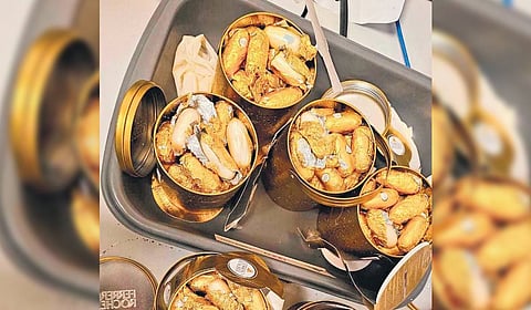 Compactly-packed capsules containing cocaine inside chocolate cans seized by officials.