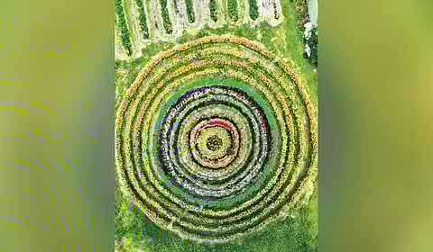 The ‘pookkalam’ created by Sujith using different varieties of plants at Puthanambalam near Cherthala.