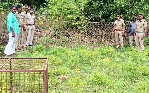 Forest officials have mapped the areas in Tiruchy district where wild boar attacks have been reported over the past three years.