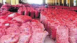 The procured onions are being supplied to Rythu Bazaars, ration shops, and government institutions.