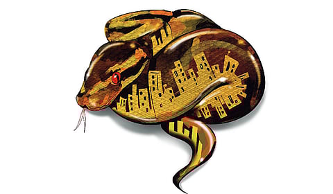 A peculiar case has emerged from Bhaihsaha, a village of about 300 people in Kaushambi district, known for being infested with snakes.