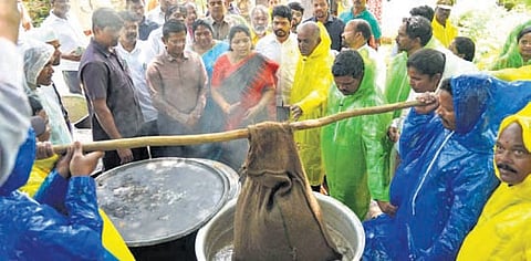 Tribal Welfare Minister Gummidi Sandhya Rani oversees the destruction of Coffee Berry Borer infested crop in Alluri Sitarama Raju district on Saturday.