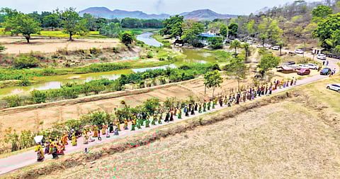 The Mahanadi Awakening Abhiyan (MAA), initiated by Dhamtari Collector Abinash Mishra, is transforming both the river and people’s relationship with it.