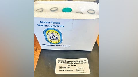 The surge in demand for the Kodaikanal hill garlic has also led to the adulteration of the product, where inferior varieties are falsely sold under its name.