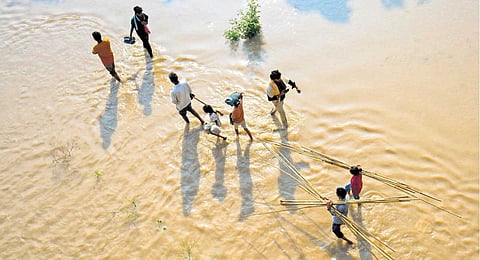 Raging river: Yamuna roars again