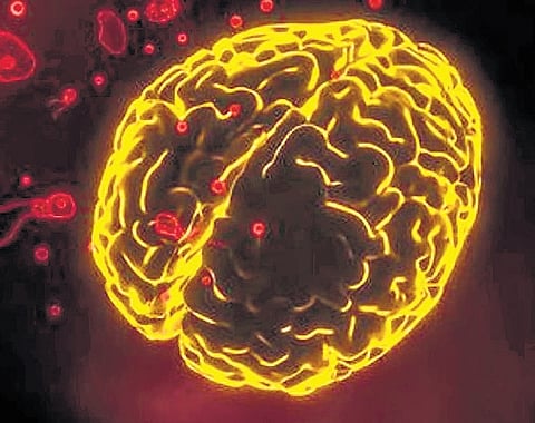 Kerala: Panic spreads as deadly infection kills 5 in 1 month