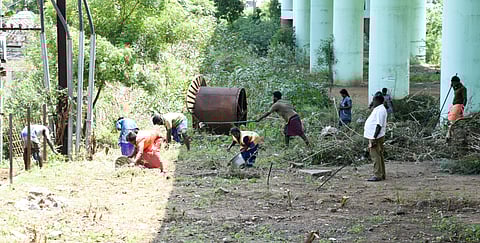 Corporation workers clearing garbage piled up under the Thiruvanaikovil RoB in Tiruchy on Tuesday