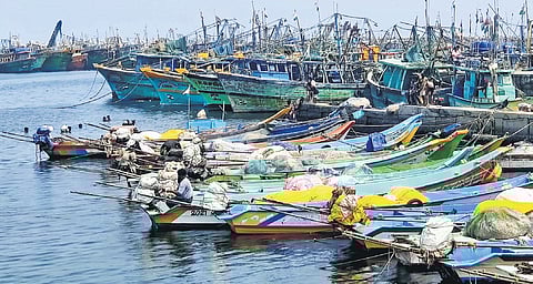 NFSF alleged that projects such as new ports, logistics corridors, real estate ventures, tourism zones, and industrial infrastructure are severely impacting coastal ecosystems