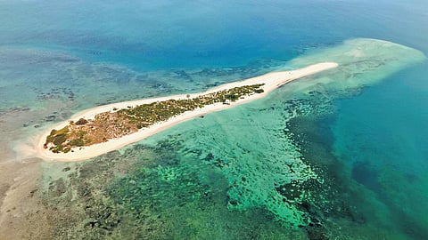 Of the total outlay, the World Bank will provide Rs 1,172.5 crore, while the state government will contribute Rs 502.5 crore