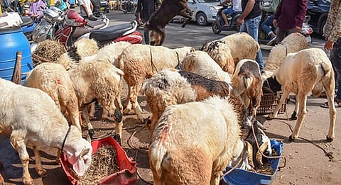 ED asks complainant to submit evidence