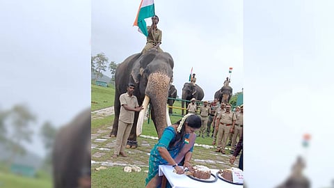 MTR deputy director C Vidya cutting a cake to celebrate the birthday of the elephant last month | Express