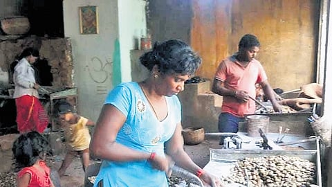 The announcement follows Chief Minister MK Stalin’s assurance in the 2025-26 Agriculture Budget, which allocated Rs 10 crore for the initiative.