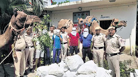 The suspects were intercepted, and a total of 42 cartons of illicit liquor and 24 beer bottles were recovered.