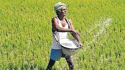 Image used for representational purposes only.