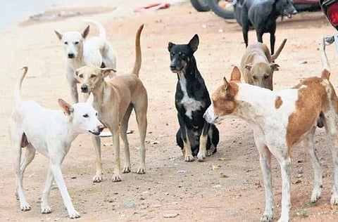 Image used for representational purposes only