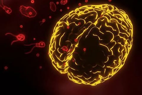 Uncertainty deepens in Kerala as rare brain-eating amoeba claims more lives, with cases reported even among those bathing at home.