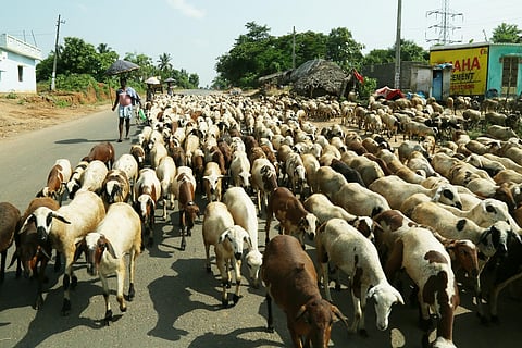 Image used for representative purpose.