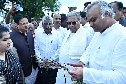 Chief Minister visiting a field at Fartabad village of Kalaburagi taluk and seeing the crop loss.