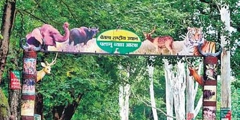 Palamu Tiger Reserve