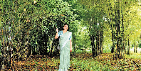 Maya Salimkumar at her bamboo plantation in Poothotta