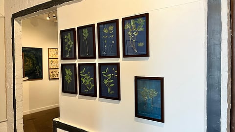 Artworks by Rashmimala