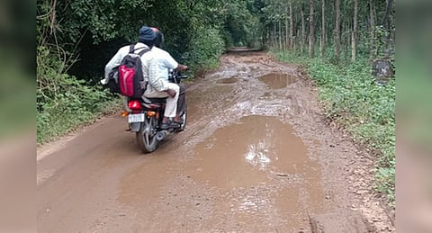 Image used for representative purposes only.