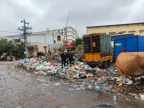 The black spots and piled-up garbage at collection and mustering centres, along with the seepage of waste water underground.