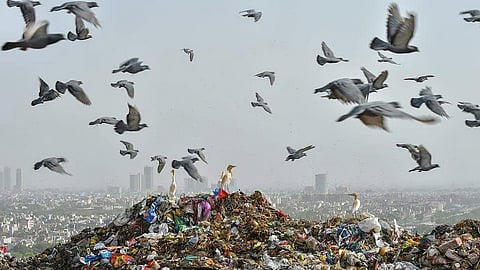 Bandhwari Landfill site.