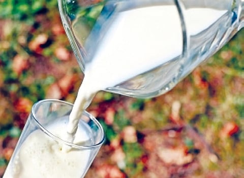 Recent reduction in GST on dairy products has come as a major relief to lakhs of households across Andhra.