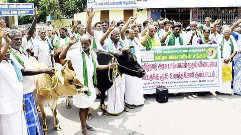 Dairy Farmers protesting at Salem Aavin, demanding an increase in milk procurement prices.