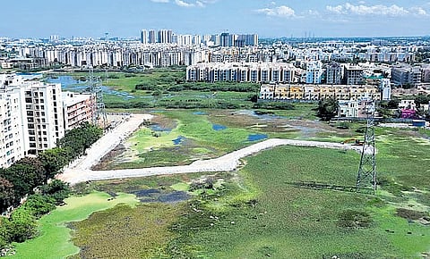 Pallikaranai Marshland
