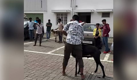 In his petition, Vignesh stated that he had come across a video reel posted on September 3 by an Instagram account named poovai_babacatering_pollachi.