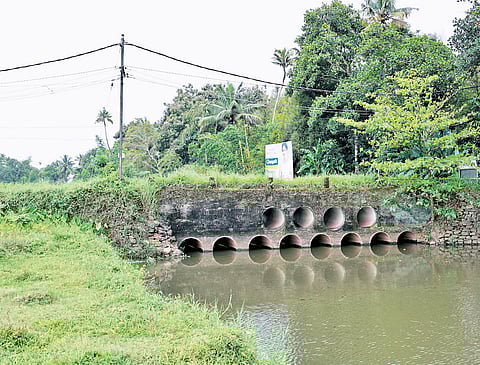 The proposed site for the bridge that CIAL will be constructing at Chovvara