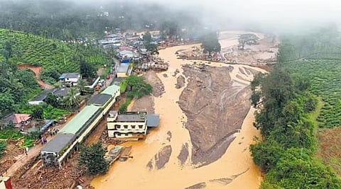 The tragedy left behind a scarred landscape that researchers believe holds immense scientific, educational, and cultural value.