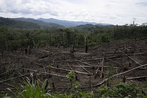 Cut down trees lie within view of the Cordillera Azul National Park, seen in the background near Chambira community, in Peru’s Amazon, Oct. 3, 2022.