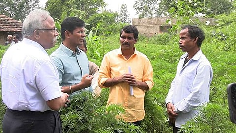 Executive Vice Chancellor of the Rythu Sadhikara Samstha, along with officials visited farming fields in Barisingi village of Paderu Mandal in ASR.