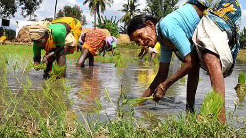 A finance expert in the state government said, “There is unemployment in Karnataka