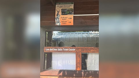 Lion safari has been closed for public.
