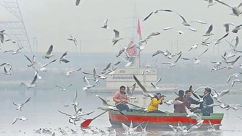 As monsoon fades and winter nears, Delhi sinks into its familiar haze, where mornings dawn in muted grey.