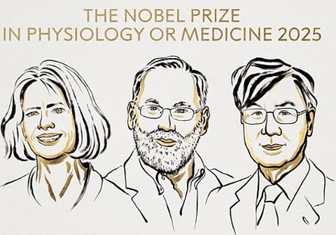 US, Japanese scientists awarded 2025 Nobel Prize for Medicine for discovery on immune system
