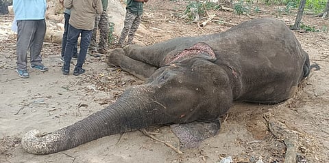 Image used for representational purposes only.