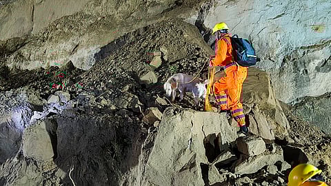 NDRF personnel with a sniffer dog during a search and rescue operation after at least 18 passengers were killed while three were rescued as a private bus they were travelling in was struck by a massive landslide, in Bilaspur district, Himachal Pradesh, Tuesday, Oct. 7, 2025.
