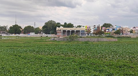 Activists have been urging the corporation to clear invasive plants, garbage and prevent sewage inflow into the Vaigai river.